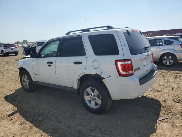 Photo 2 from auction – 2010 FORD ESCAPE HYB with VIN 1FMCU5K3XAKB03336