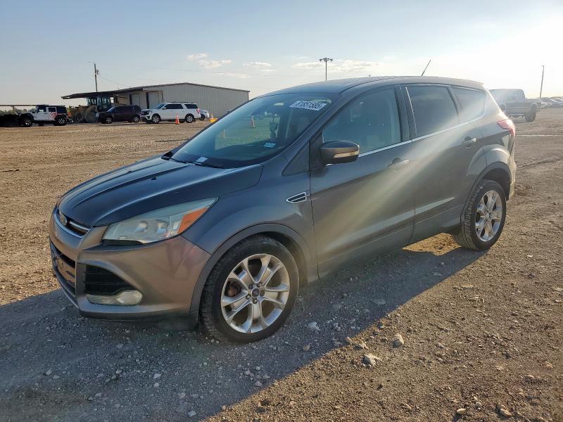 FORD ESCAPE SEL 2013 with VIN 1FMCU0H91DUC37014 - Photo from auction