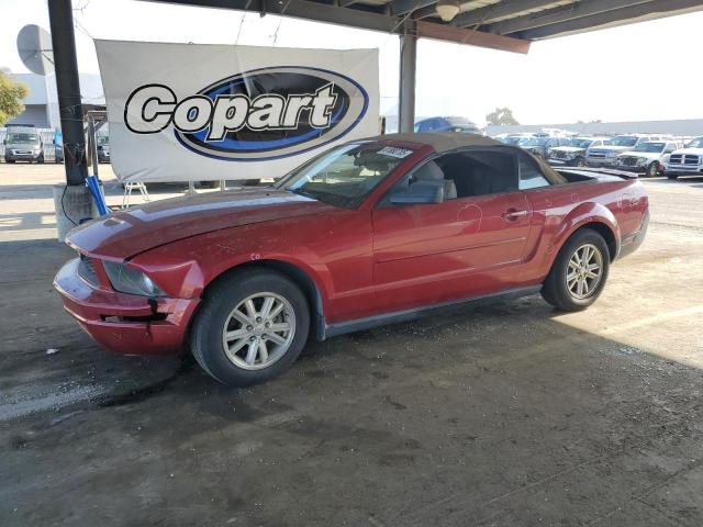 FORD MUSTANG 2008 with VIN 1ZVHT84N085136235 - Photo from auction