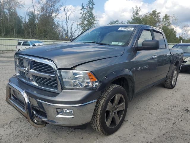 DODGE RAM 1500 S 2012 with VIN 1C6RD7LT8CS345819 - Photo from auction