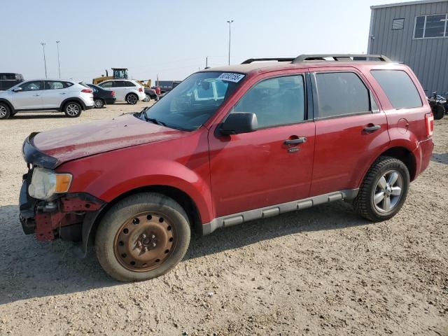 FORD ESCAPE XLT 2009 with VIN 1FMCU93G69KB76661 - Photo from auction