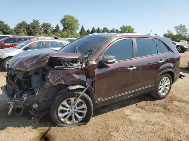 KIA SORENTO EX 2014 with VIN 5XYKUDA79EG498801 - Photo from auction