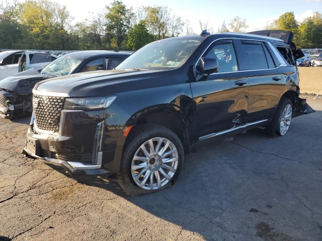 CADILLAC ESCALADE 2022 with VIN 1GYS4AKL8NR105800 - Photo from auction