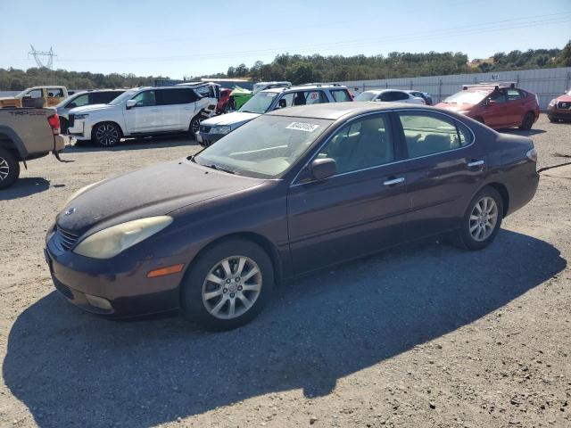 LEXUS ES 330 2004 with VIN JTHBA30G845041620 - Photo from auction