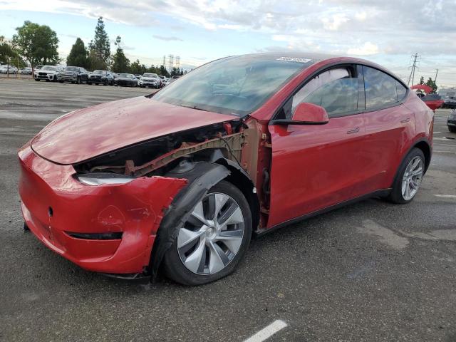 TESLA MODEL Y 2023 with VIN 7SAYGDEE8PA113314 - Photo from auction