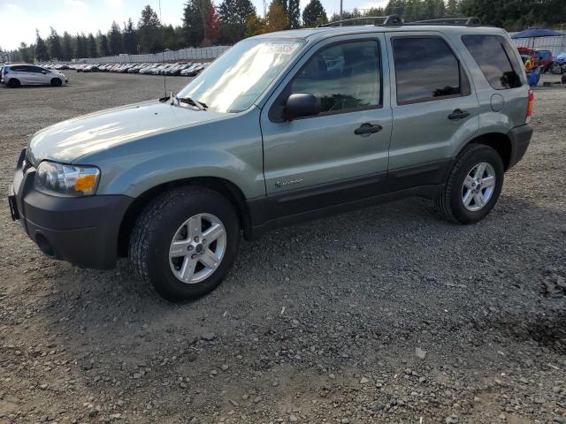 FORD ESCAPE HEV 2006 with VIN 1FMCU96H26KC28349 - Photo from auction