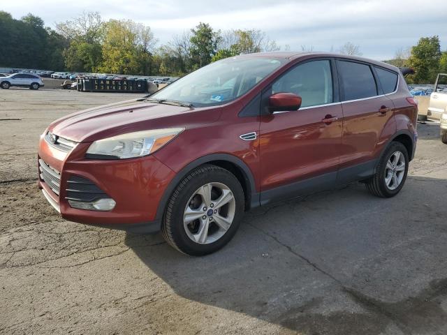 FORD ESCAPE SE 2014 with VIN 1FMCU0GX7EUB37842 - Photo from auction