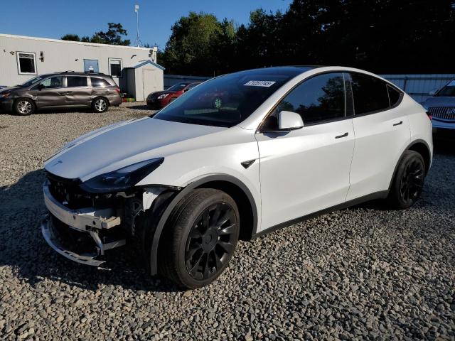 TESLA MODEL Y 2024 with VIN 7SAYGDEE6RA260248 - Photo from auction
