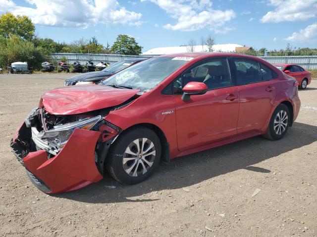 TOYOTA COROLLA LE 2021 with VIN JTDEAMDE3MJ008156 - Photo from auction