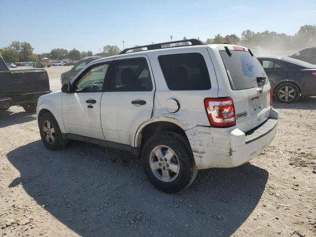 Photo 2 from auction – 2010 FORD ESCAPE XLT with VIN 1FMCU0D7XAKC18215