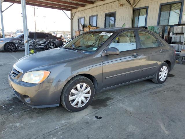 KIA SPECTRA LX 2005 with VIN KNAFE122255121135 - Photo from auction