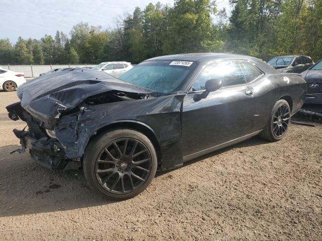 DODGE CHALLENGER 2014 with VIN 2C3CDYAG0EH224839 - Photo from auction