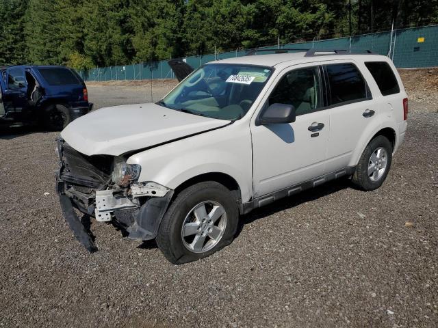 FORD ESCAPE XLT 2009 with VIN 1FMCU93G49KB95614 - Photo from auction