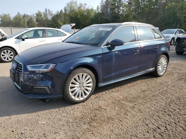 AUDI A3 E-TRON 2017 with VIN WAUSPBFF0HA070094 - Photo from auction
