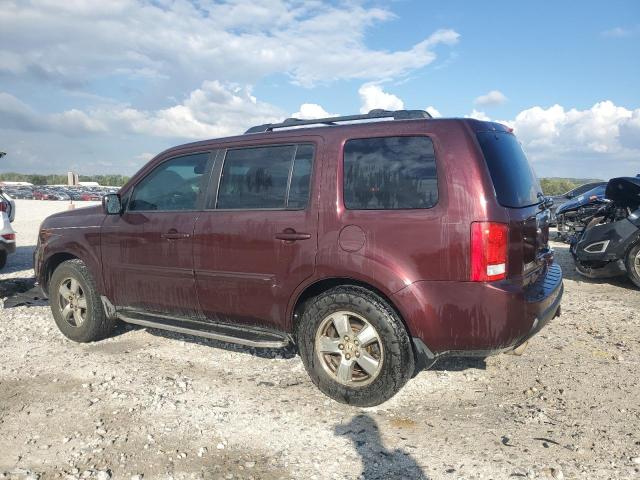 Photo 2 from auction – 2009 HONDA PILOT EXL with VIN 5FNYF38529B021806