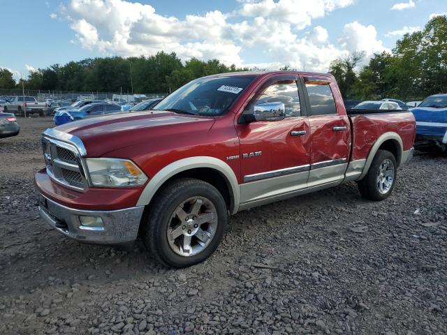 DODGE RAM 1500 2009 with VIN 1D3HV18T49S792610 - Photo from auction