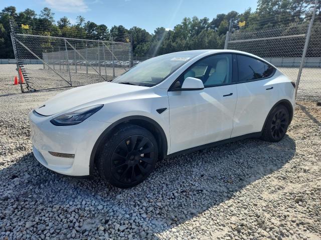 TESLA MODEL Y 2023 with VIN 7SAYGDEE9PF610603 - Photo from auction