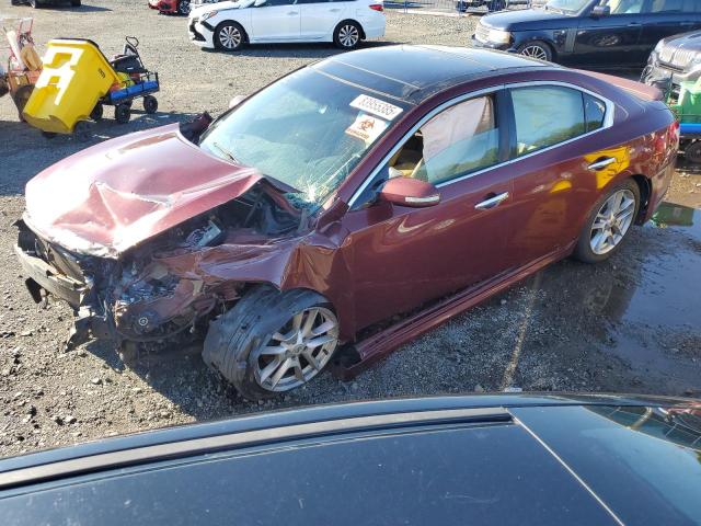 NISSAN MAXIMA S 2009 with VIN 1N4AA51E59C829348 - Photo from auction