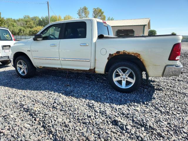 Photo 2 from auction – 2010 DODGE RAM 1500 with VIN 1D7RV1CT3AS227263