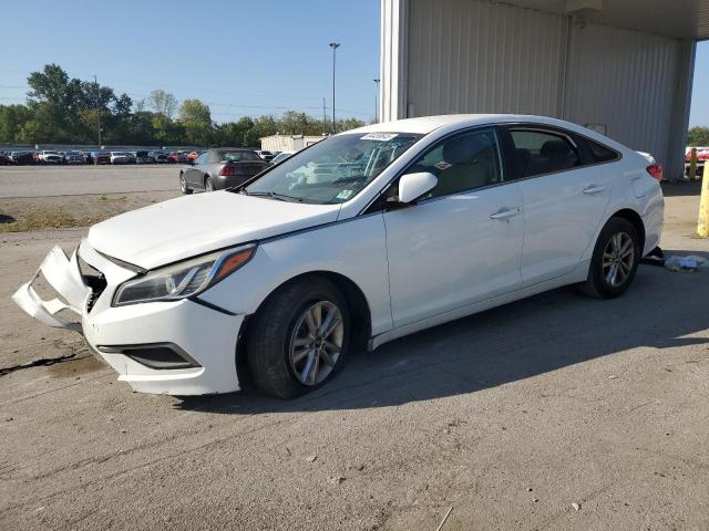 HYUNDAI SONATA SE 2016 with VIN 5NPE24AF8GH278149 - Photo from auction