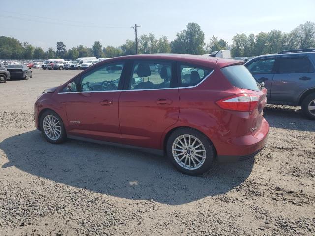 Photo 2 from auction – 2013 FORD C-MAX SEL with VIN 1FADP5BU1DL537187