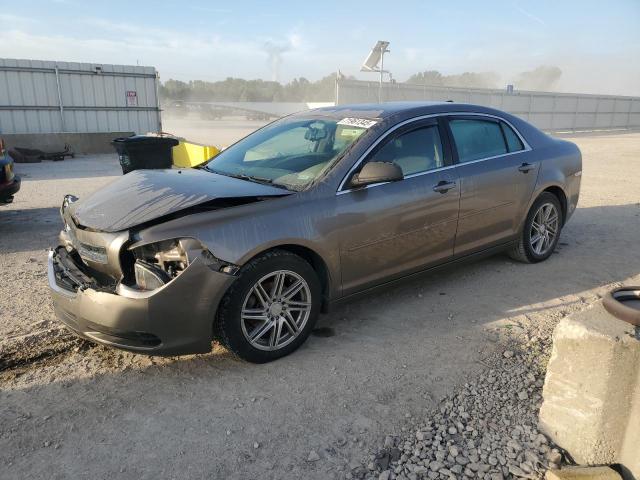 CHEVROLET MALIBU LS 2012 with VIN 1G1ZA5EU2CF153485 - Photo from auction