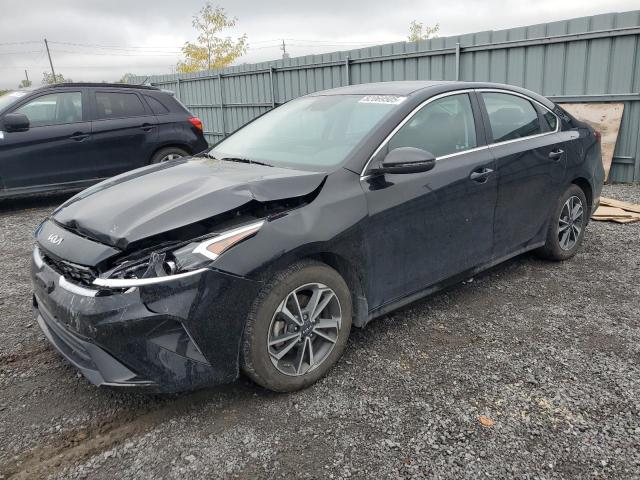 KIA FORTE EX 2024 with VIN 3KPF34AD6RE839231 - Photo from auction