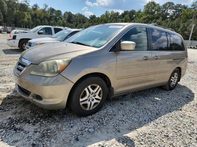 HONDA ODYSSEY EX 2005 with VIN 5FNRL38485B420962 - Photo from auction