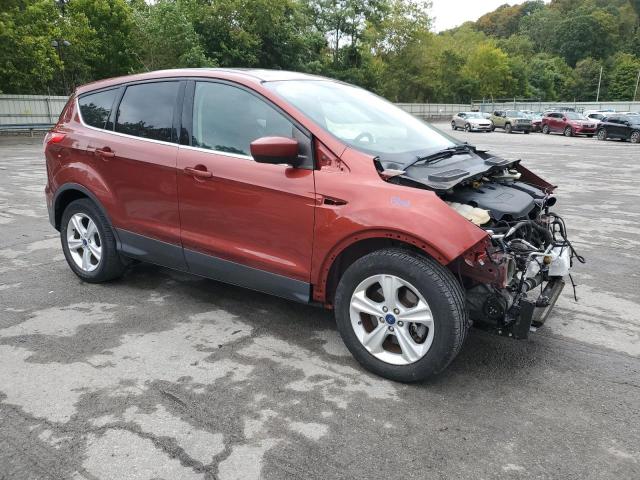 Photo 4 from auction – 2014 FORD ESCAPE SE with VIN 1FMCU9G94EUE49199