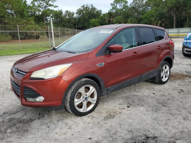FORD ESCAPE SE 2014 with VIN 1FMCU0GX1EUB86163 - Photo from auction