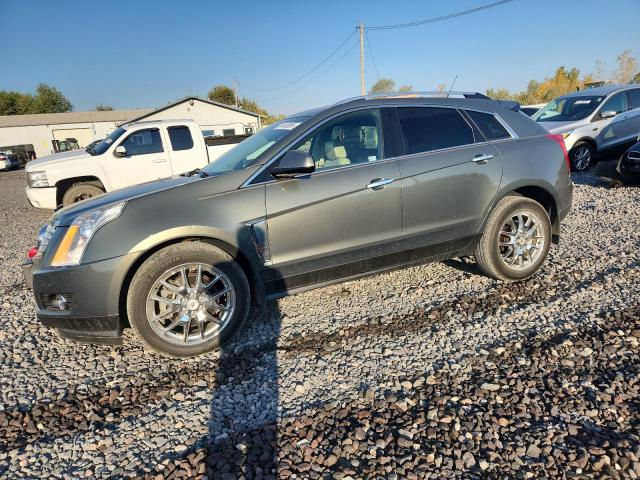 CADILLAC SRX PERFOR 2013 with VIN 3GYFNDE37DS605664 - Photo from auction