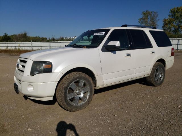 FORD EXPEDITION 2010 with VIN 1FMJU1K53AEA34084 - Photo from auction