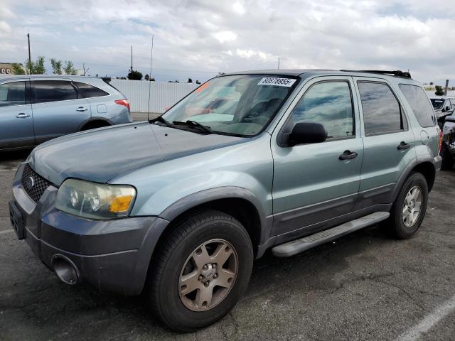 FORD ESCAPE XLT 2006 with VIN 1FMCU03106KA13717 - Photo from auction