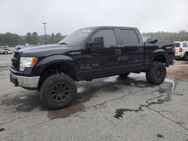 FORD F150 SUPER 2010 with VIN 1FTEW1E89AFC53521 - Photo from auction