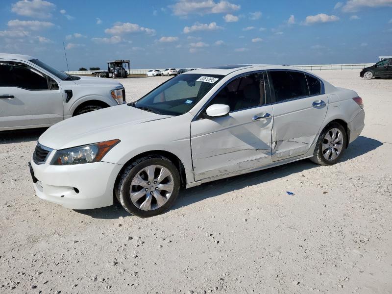 Photo 1 from auction – 2008 HONDA ACCORD EXL with VIN 1HGCP368X8A083595