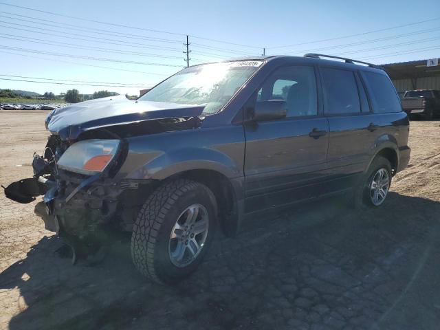 HONDA PILOT 2005 with VIN 5FNYF186X5B026274 - Photo from auction
