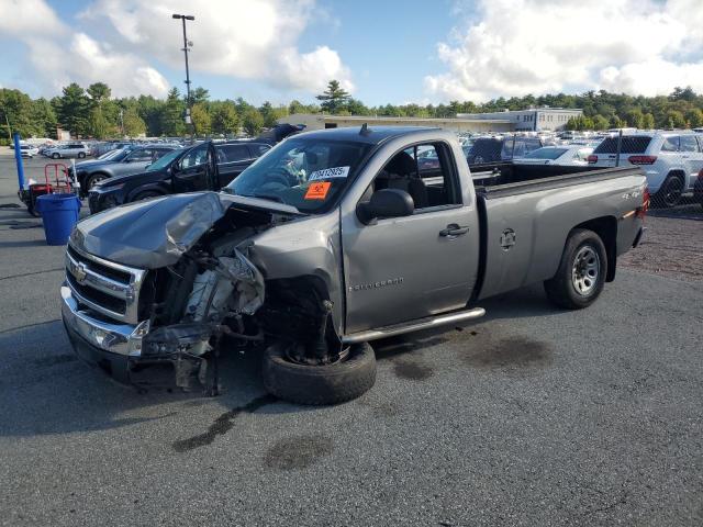 CHEVROLET SILVERADO 2008 with VIN 1GCEK14X08Z137041 - Photo from auction