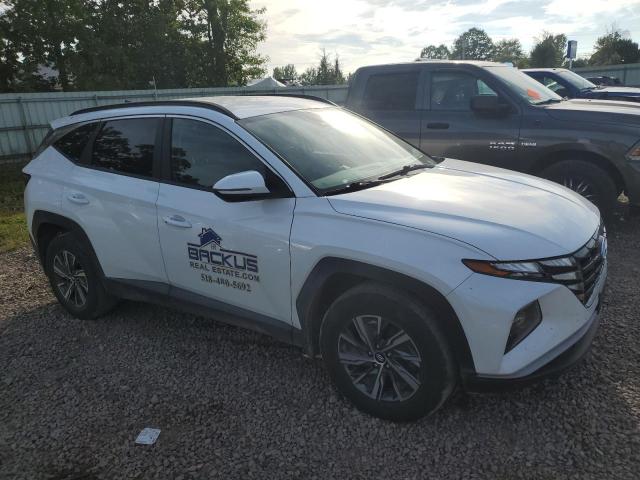 Photo 4 from auction – 2022 HYUNDAI TUCSON BLU with VIN KM8JBCA11NU066804