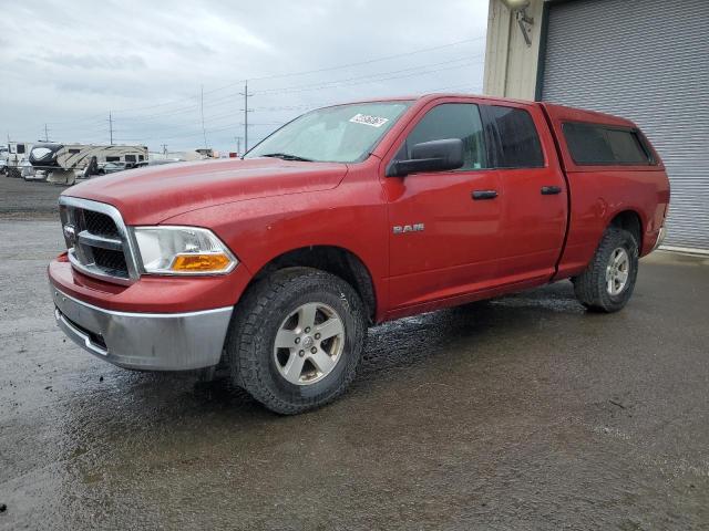 DODGE RAM 1500 2009 with VIN 1D3HV18P49S731020 - Photo from auction