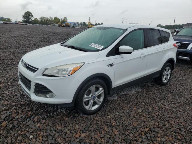 FORD ESCAPE SE 2013 with VIN 1FMCU0GX0DUB81275 - Photo from auction