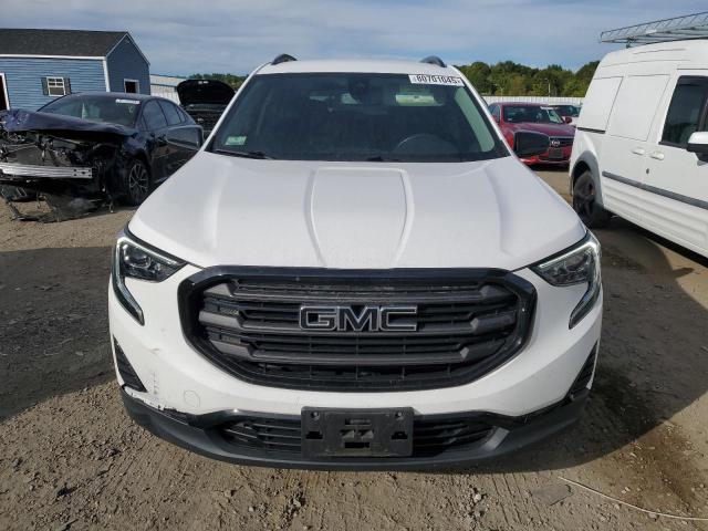 Photo 5 from auction – 2021 GMC TERRAIN SL with VIN 3GKALTEV6ML301015