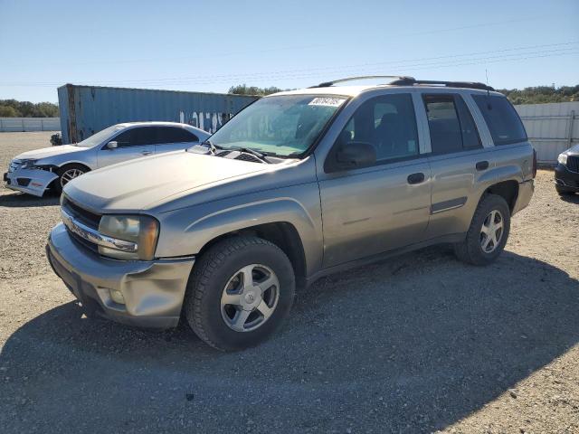 CHEVROLET TRAILBLAZE 2002 with VIN 1GNDS13S922163470 - Photo from auction