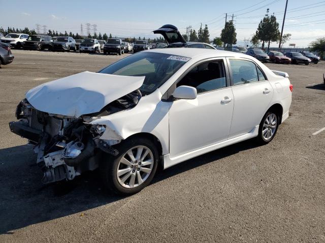 TOYOTA COROLLA BASE 2010 with VIN 1NXBU4EE1AZ174268 - Photo from auction