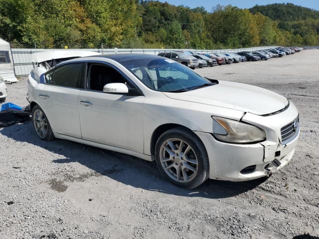 Photo 4 from auction – 2009 NISSAN MAXIMA S with VIN 1N4AA51E99C804274