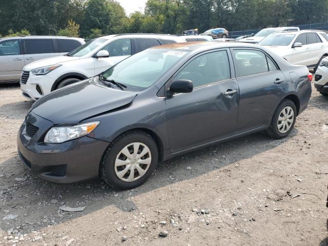TOYOTA COROLLA BA 2010 with VIN 1NXBU4EE0AZ248232 - Photo from auction