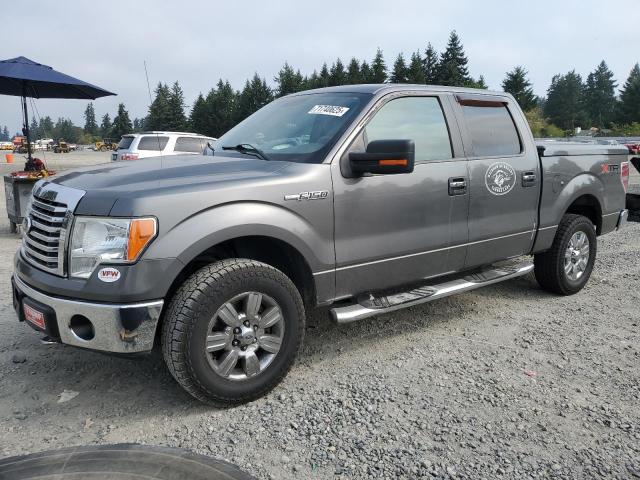Photo 1 from auction – 2010 FORD F150 SUPER with VIN 1FTFW1EV1AFB02697