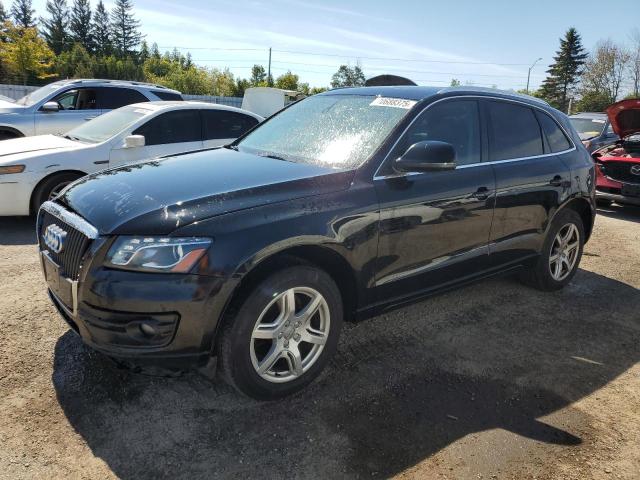 AUDI Q5 PREMIUM 2012 with VIN WA1LFCFP6CA138524 - Photo from auction