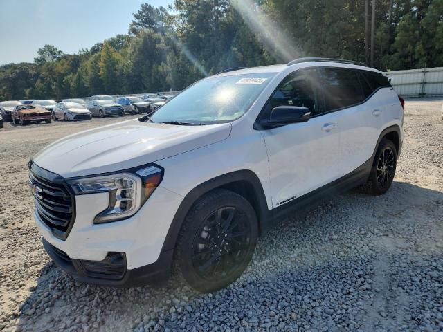 GMC TERRAIN SLT 2023 with VIN 3GKALPEG9PL176735 - Photo from auction