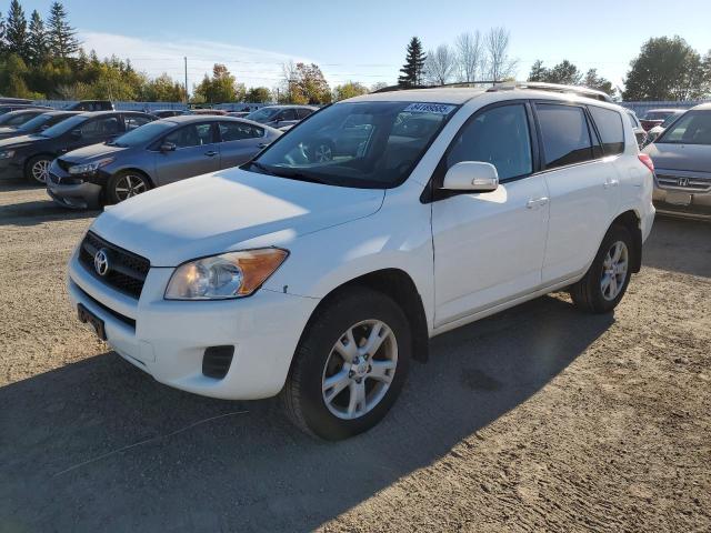 TOYOTA RAV4 2012 with VIN 2T3BF4DV5CW243520 - Photo from auction