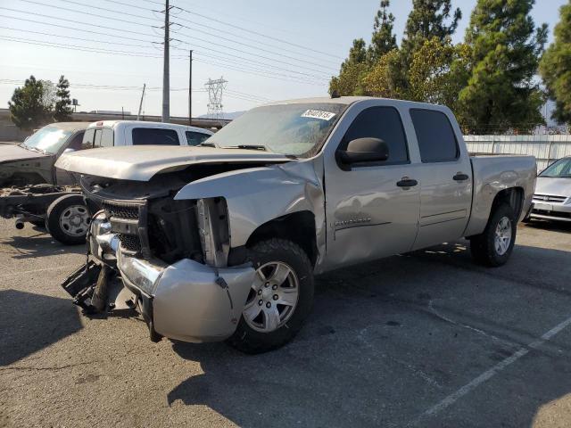 CHEVROLET SILVERADO 2008 with VIN 3GCEC13C88G250411 - Photo from auction